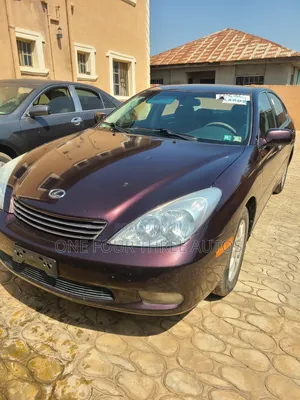 Lexus ES 300 2003 Brown
