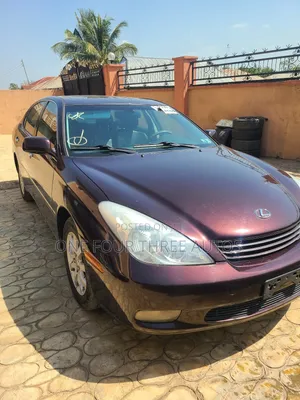 Lexus ES 300 2003 Brown