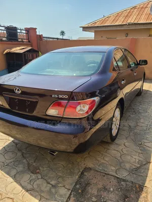 Lexus ES 300 2003 Brown