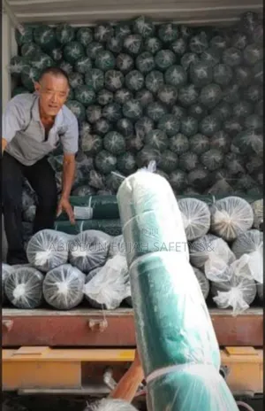 Scaffolding Net/Renovation Safety's Net