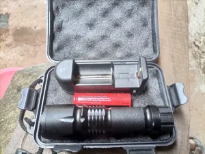 Inspection Light (Brillante Torcia Led)