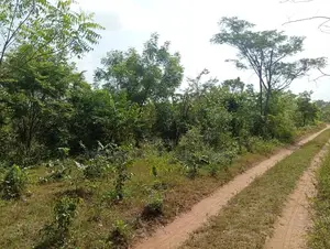 4000 Acres of Land for Sale in Ibadan With Red Copy Survey