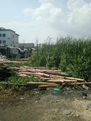 2000sqm Of Land Beside Cowrie Creek (Prime Land ) For Sale