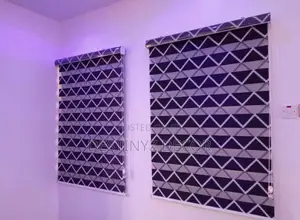 Atmospheric Window Blinds