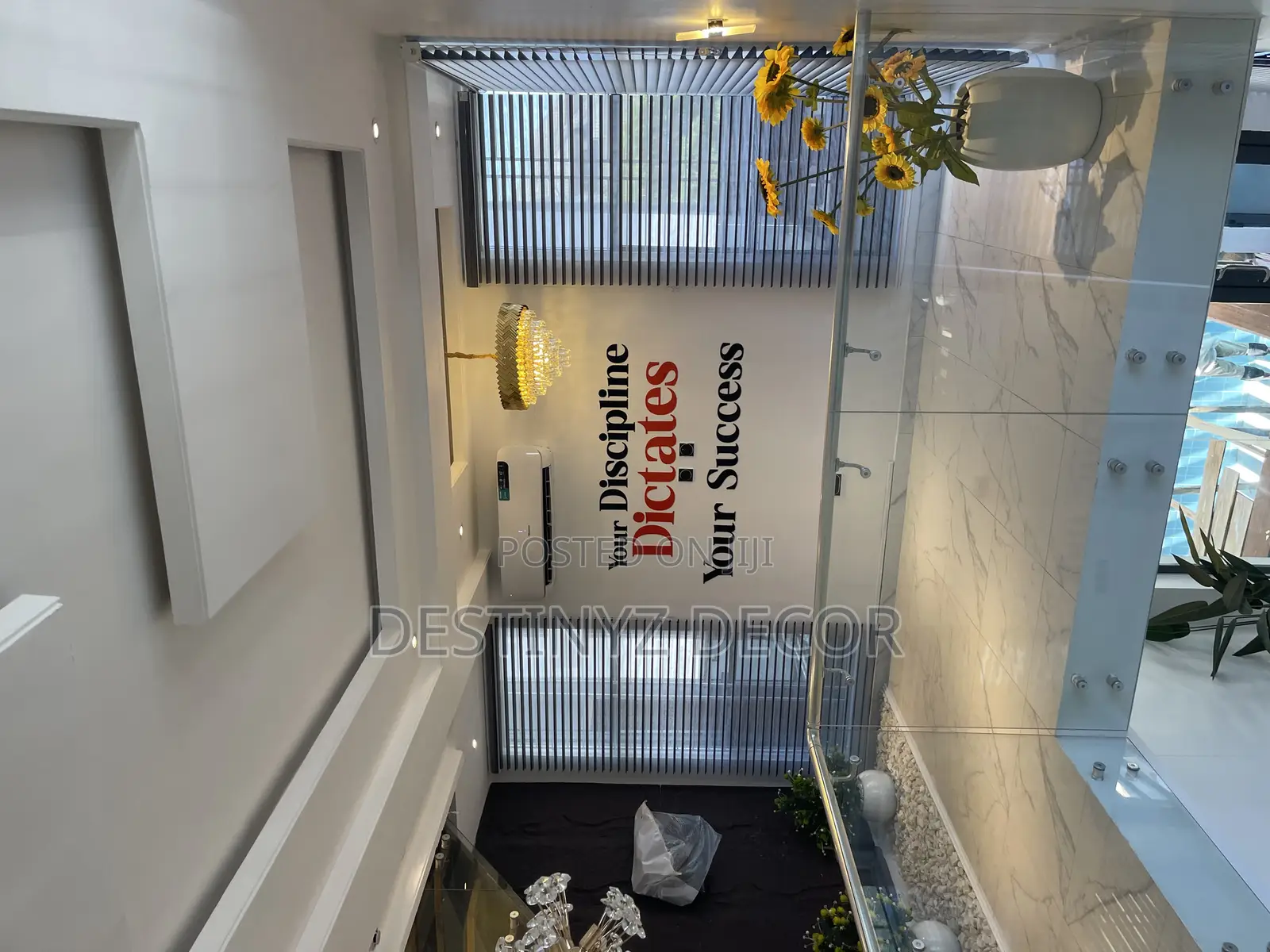 Transcendent Window Blinds