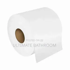 Jumbo Tissue Paper Suitable For Automatic Tissue Dispenser