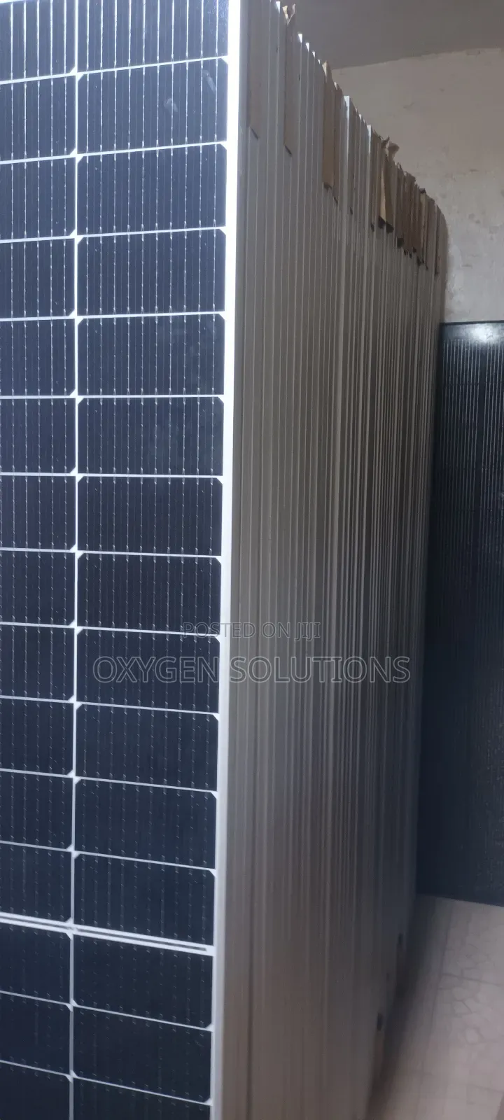 555watts 144cells Jinko Solar Panel