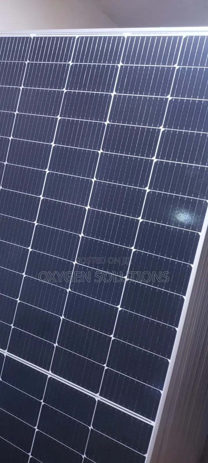 555watts 144cells Jinko Solar Panel