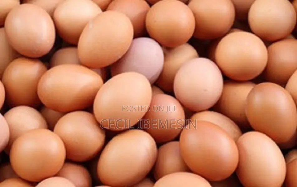 Fresh Quality Eggs