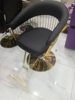 Solid Salon and Spa Chair