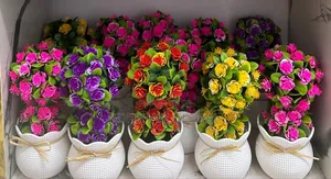 Home Decor Flower in Different Design