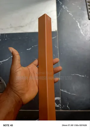 High Quality Swimming Pools Copping Tiles