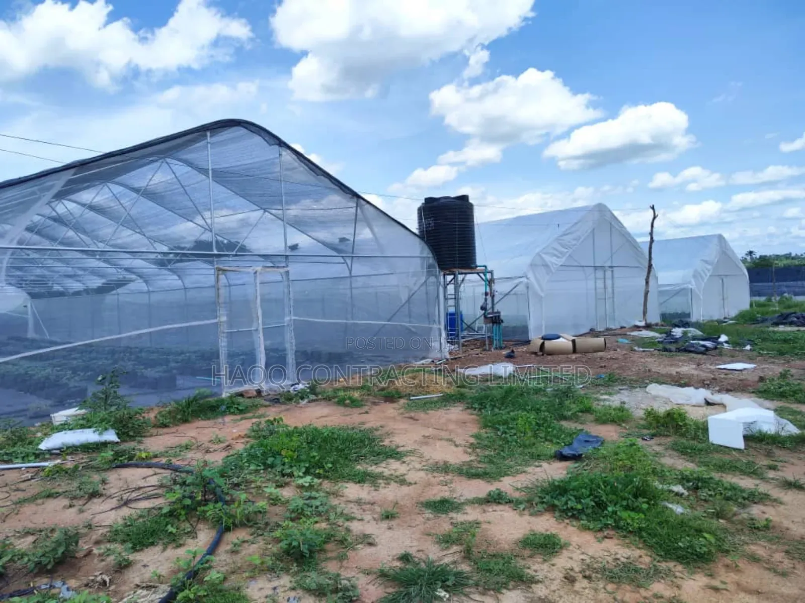 Green House Expert