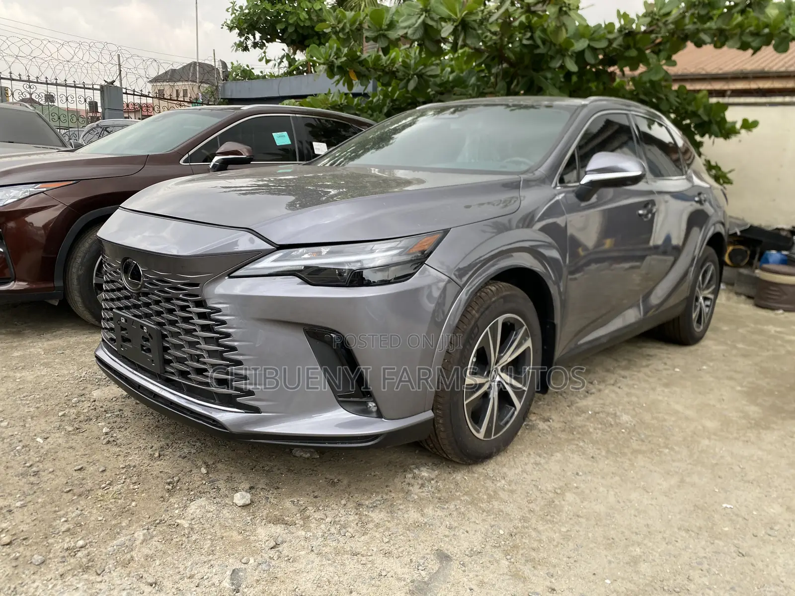 Lexus RX 2023 Gray