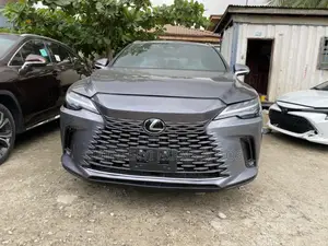 Lexus RX 350 2023 Gray