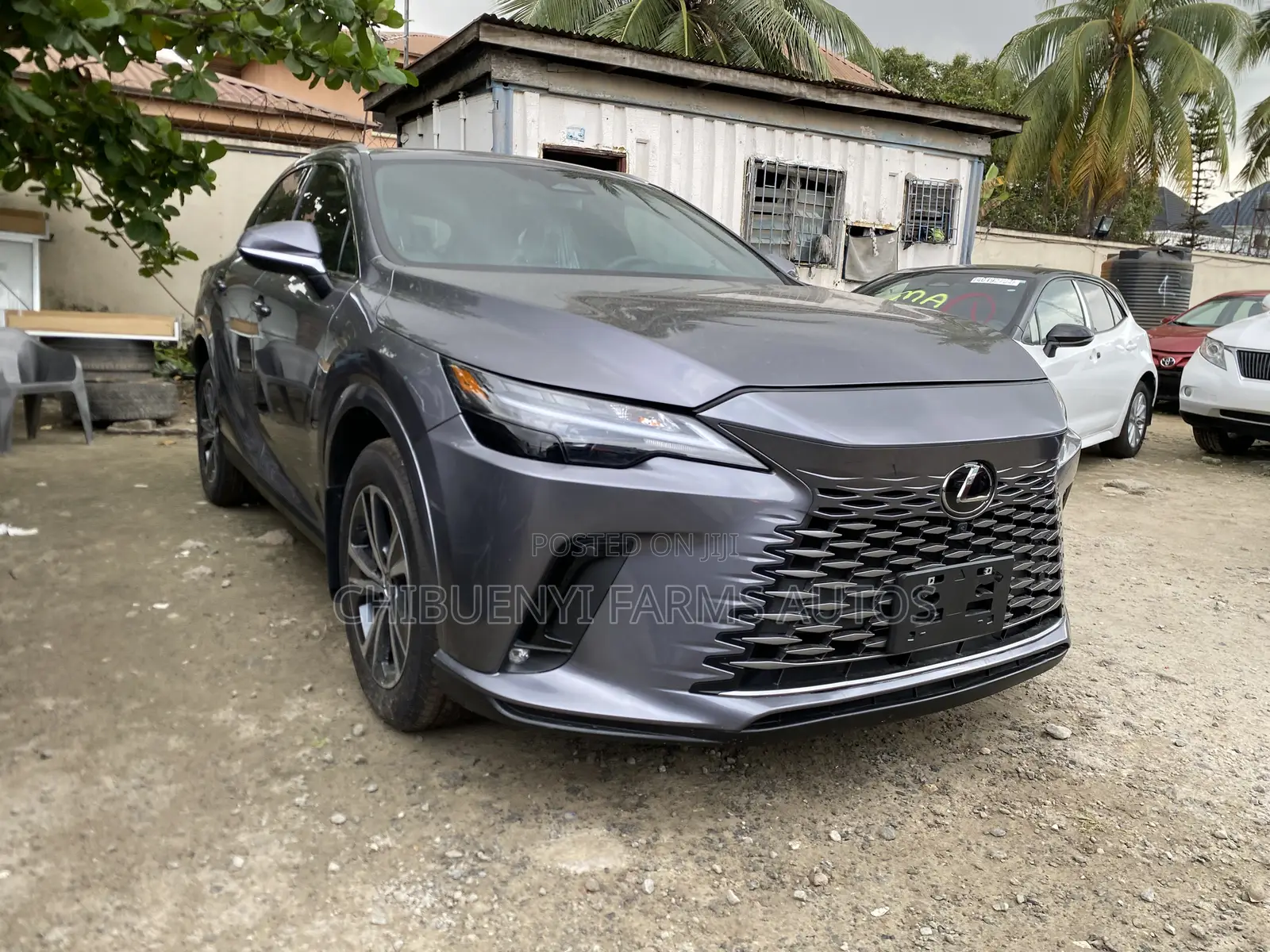 Lexus RX 2023 Gray