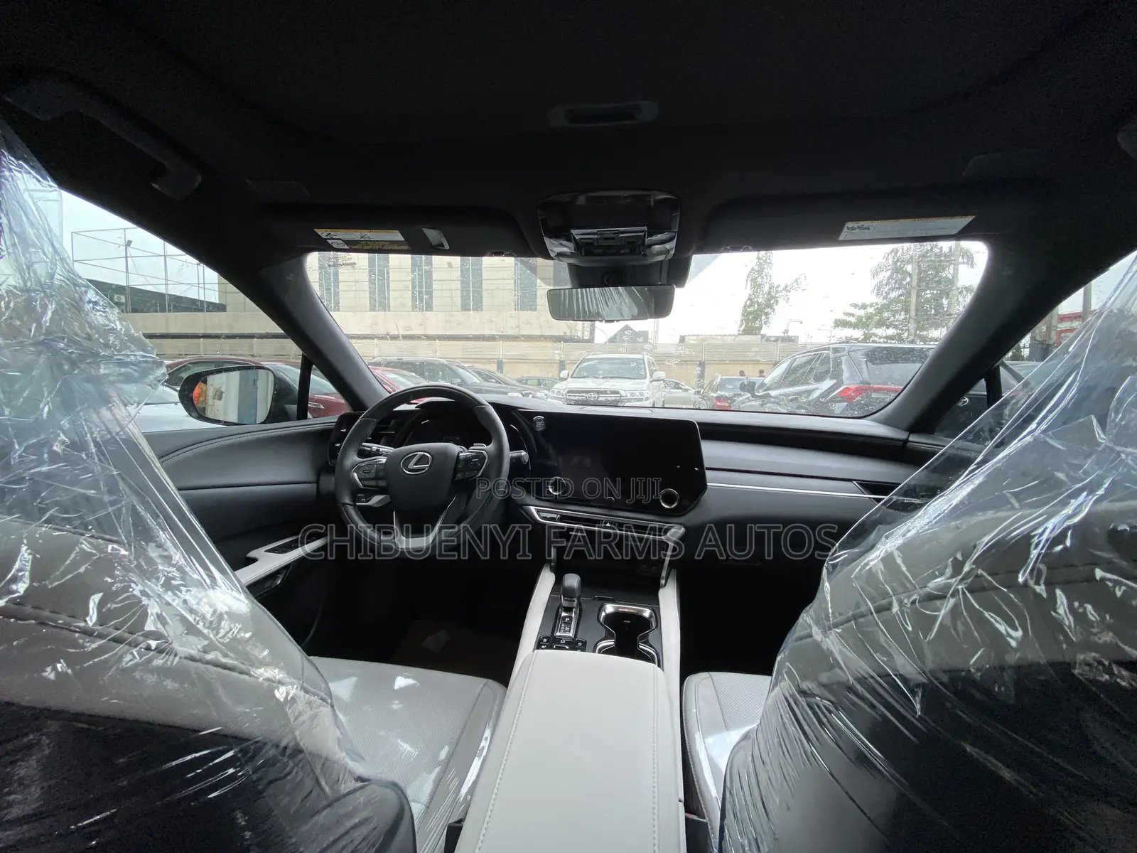 Lexus RX 2023 Gray
