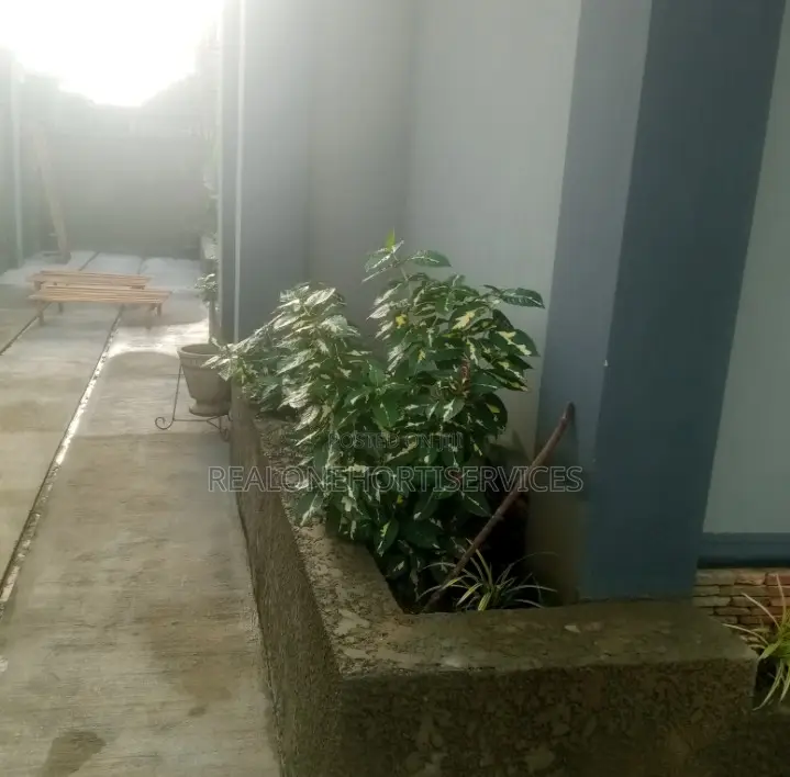 Expert Horticultural Services for a Greener Environment