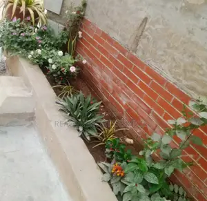Expert Horticultural Services for a Greener Environment