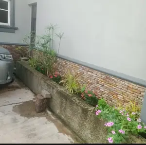 Expert Horticultural Services for a Greener Environment