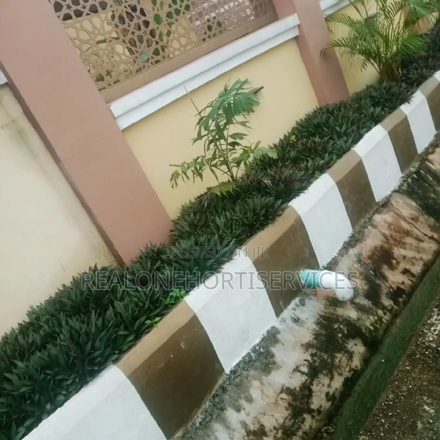 Expert Horticultural Services for a Greener Environment