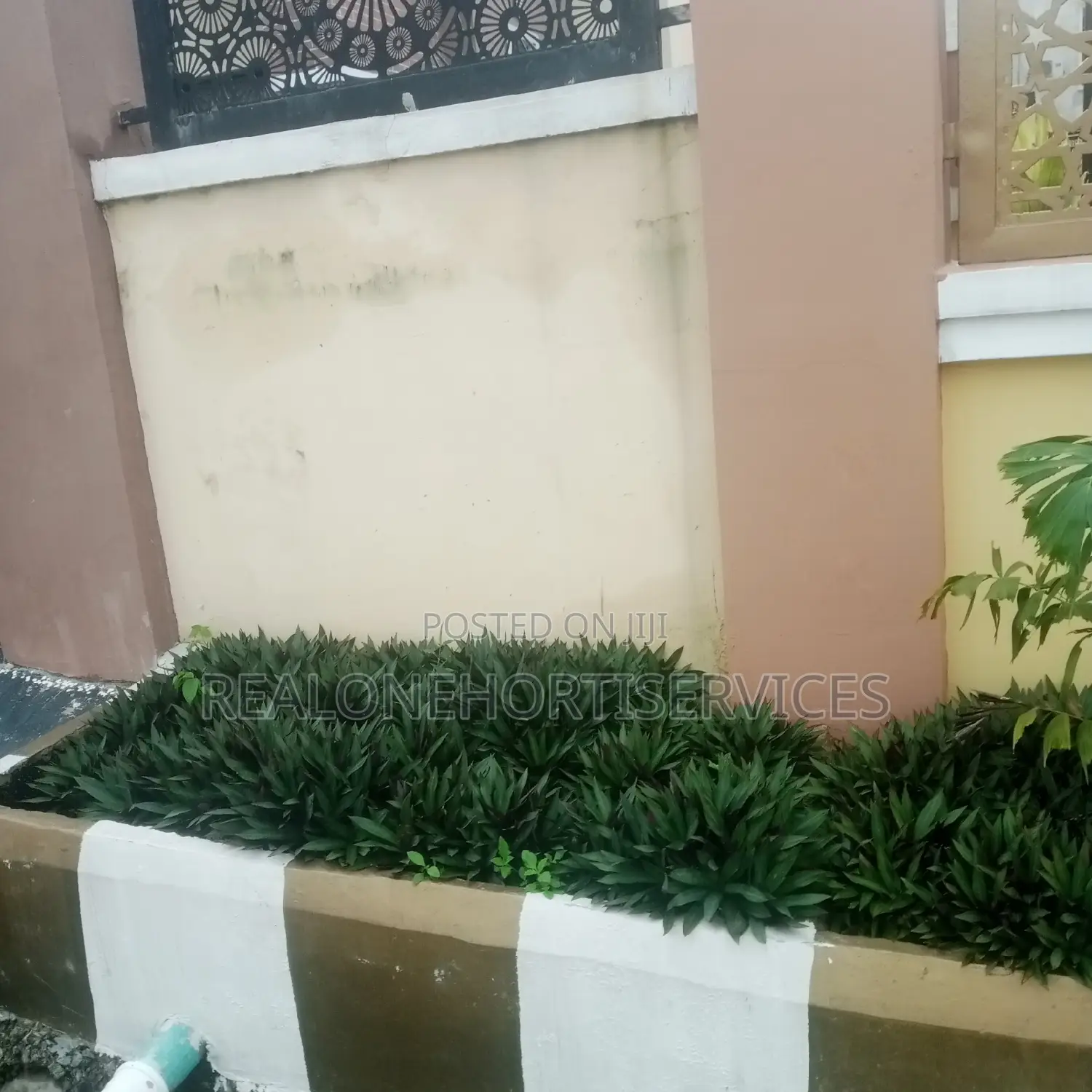 Expert Horticultural Services for a Greener Environment
