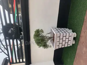 Flower Pot (Vase ) for Sell