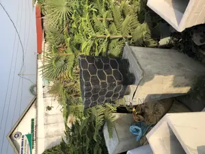 FLOWER VASE FOR SELL(Black and Gold)