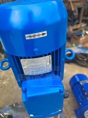 Lowara Vertical Pump