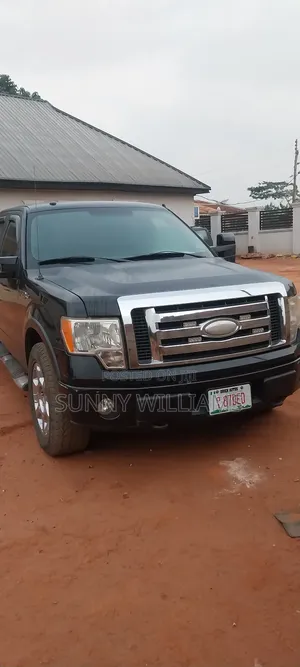 Ford F-150 FX4 2010 Black