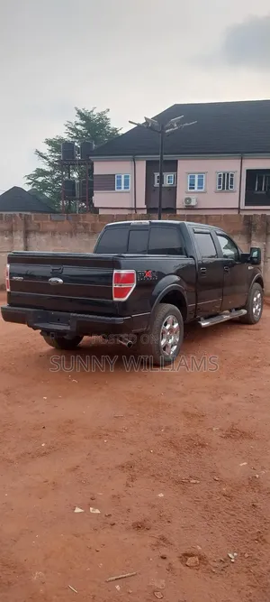 Ford F-150 FX4 2010 Black