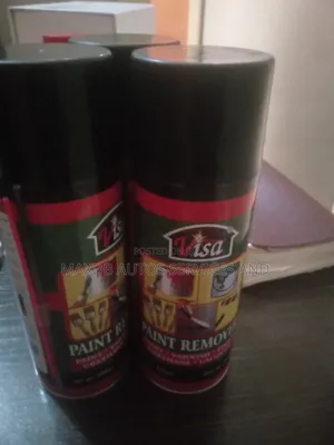 Paint Remover