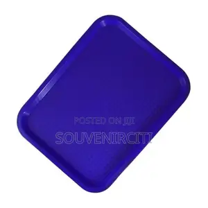 Coloured Fast Food Restaurants Serving Tray