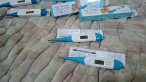 Digital Clinical Thermometer