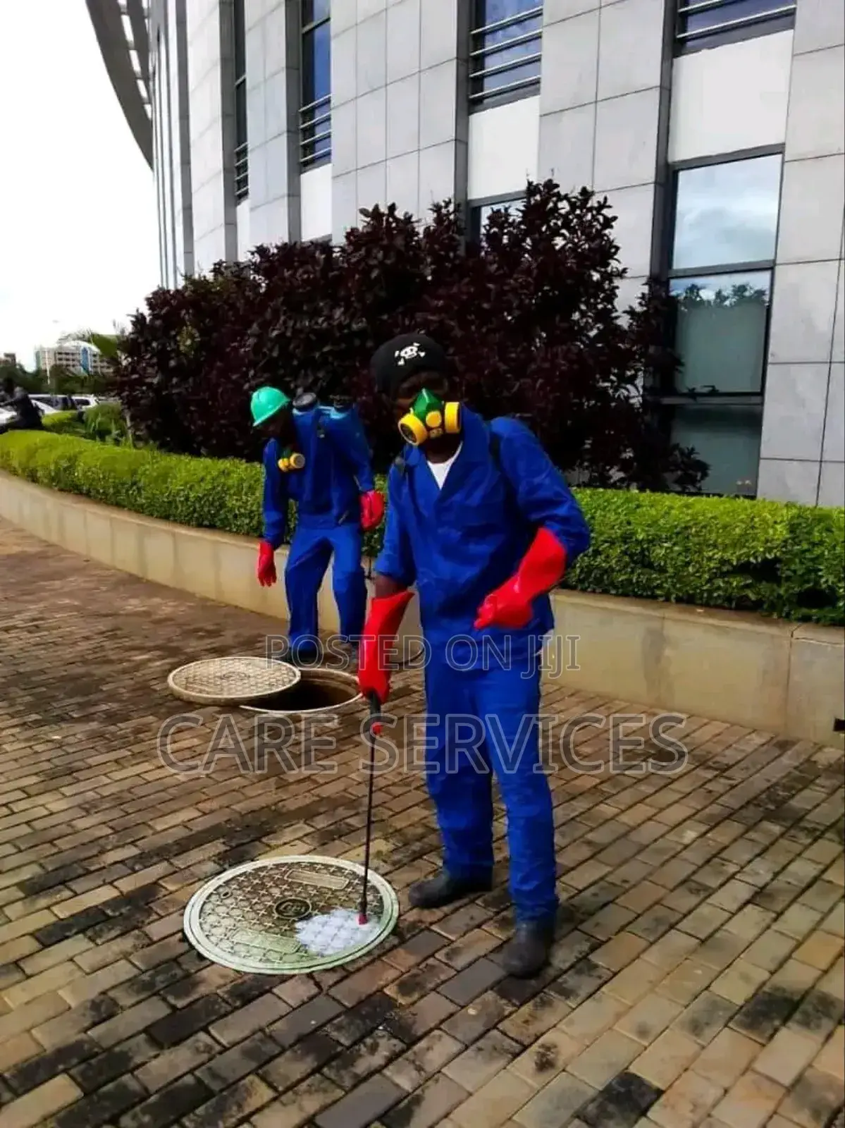 Effective Fumigation Solutions