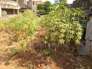 1300 SQM of Land at the Heart of G. R.A With Cofo at 170m