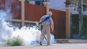 Effective Gas Fumigation Services