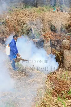 Effective Gas Fumigation Services
