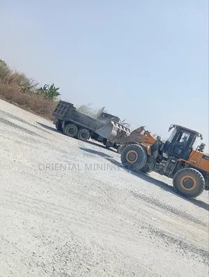 Oriental Mining Company Nig LTD