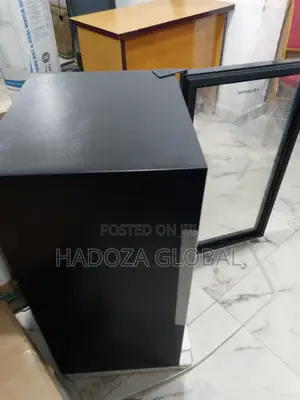 Efficient Hisense Beverage Chiller
