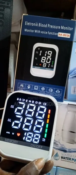 Electronic Blood Pressure Monitor