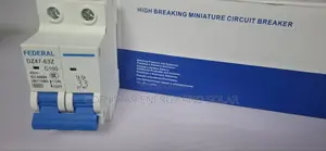 100a Federal MCB Breaker