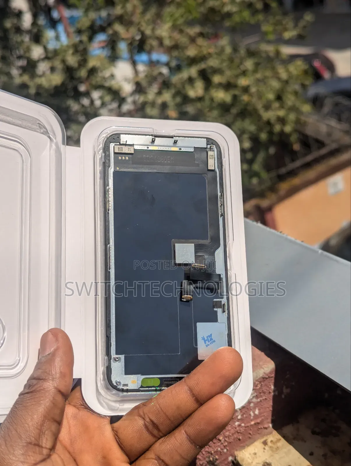 iPhone 11 Pro Screen
