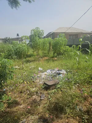 Non Waterfront Residential Land at Banana Island Ikoyi