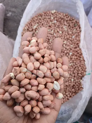 Groundnut in Bags 50kgs