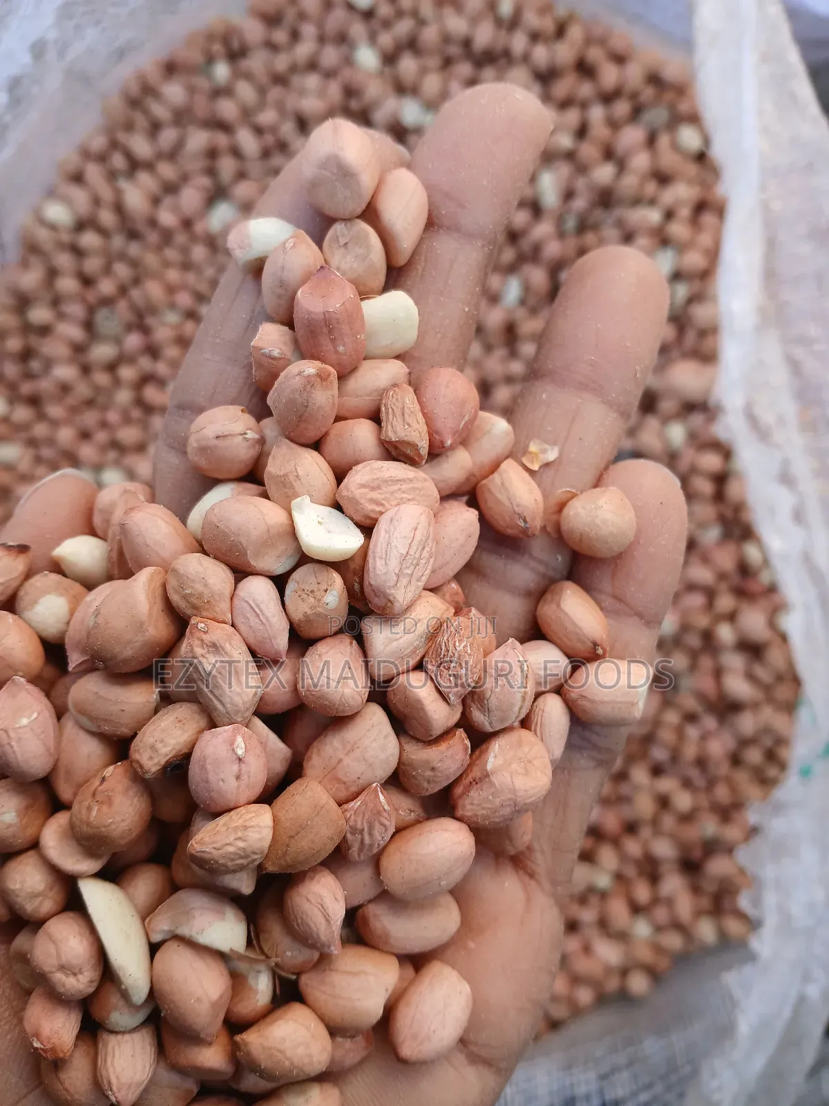 Groundnut in Bags 50kgs