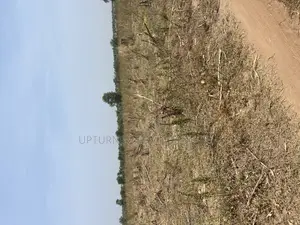 Uprooted Farmland for Sale Comes With Friendly Price