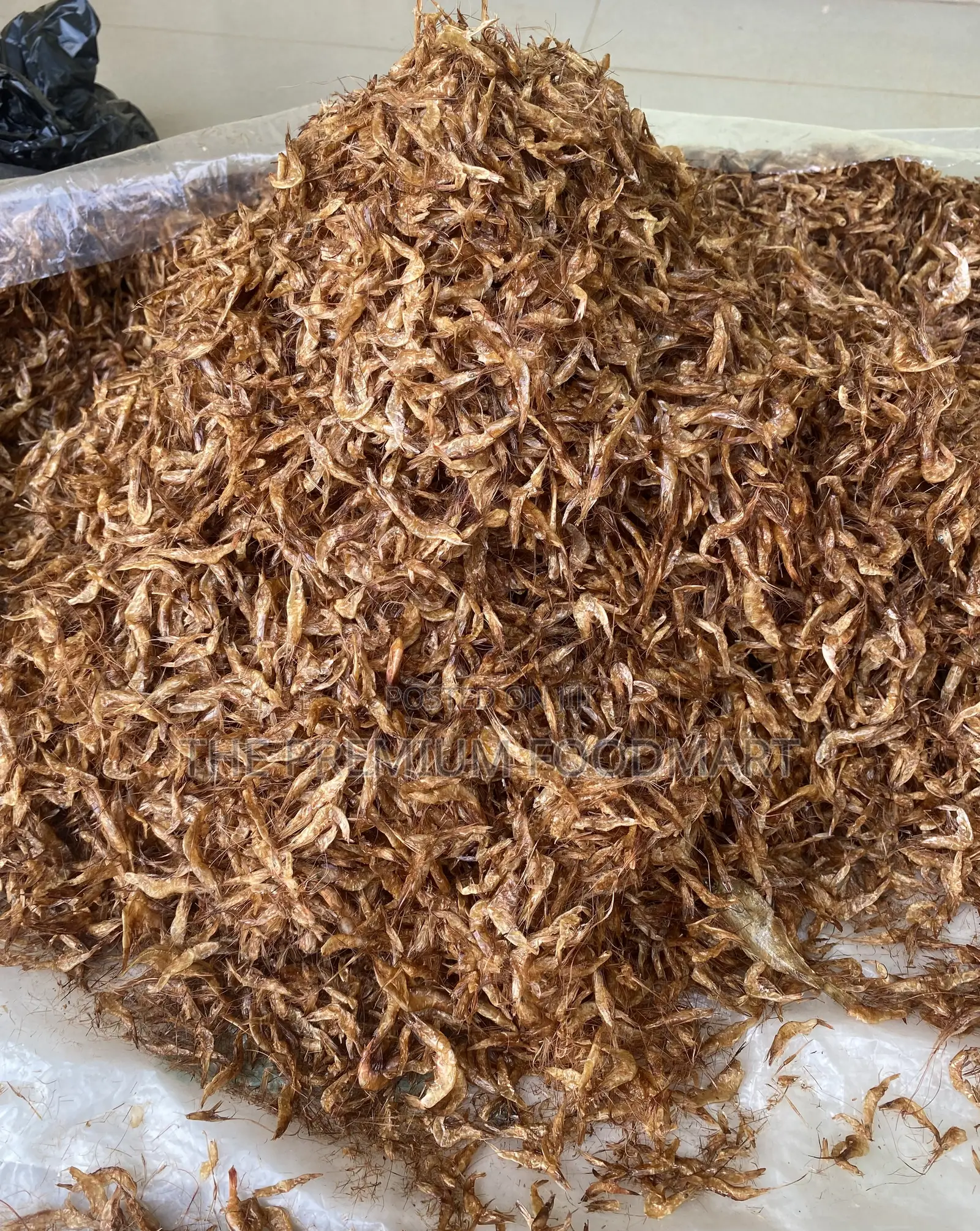 Oron Crayfish