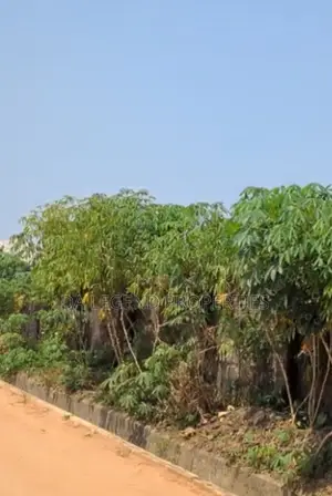 Photo - More Than 2 and Half Plot of Land for Sale