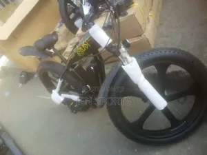 Electric Bicycle